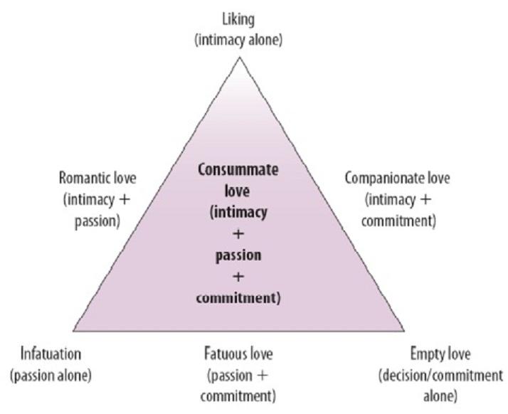 Theory of love the triangle Sternberg’s Triangular